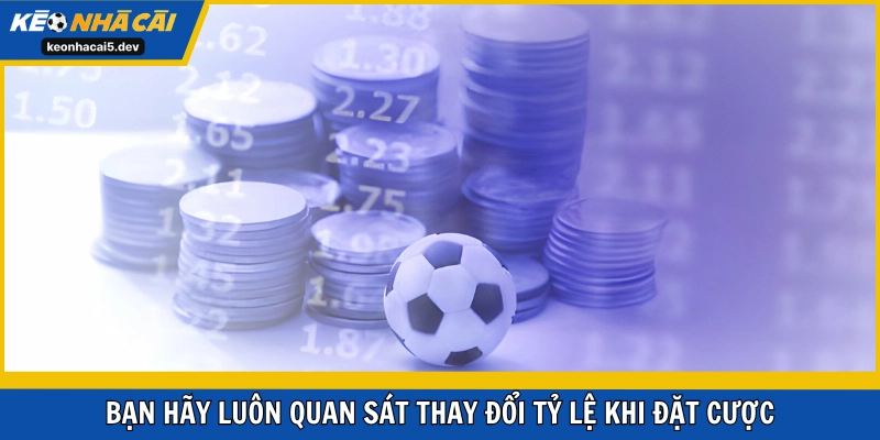 Bạn hãy luôn quan sát thay đổi tỷ lệ khi đặt cược