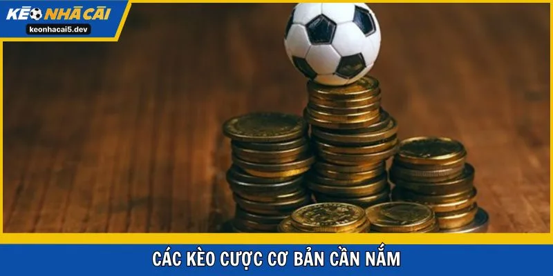 Các kèo cược cơ bản cần nắm