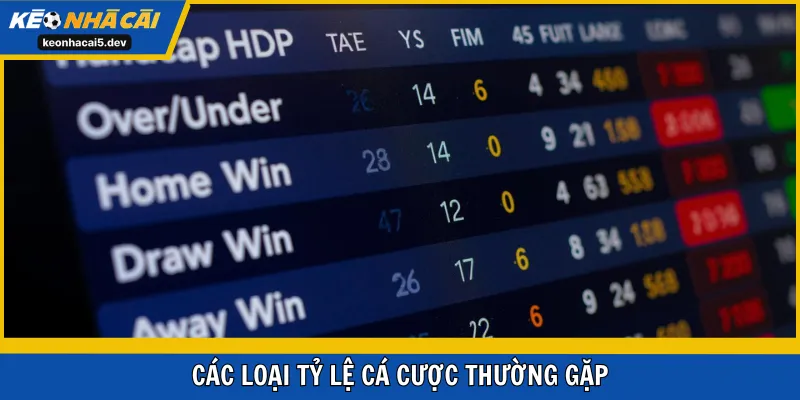 Các loại tỷ lệ cá cược thường gặp