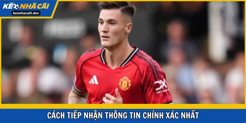 Cách tiếp nhận thông tin chính xác nhất