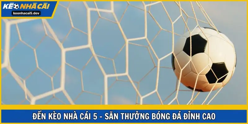 Đến Kèo Nhà Cái 5 - Săn thưởng bóng đá đỉnh cao