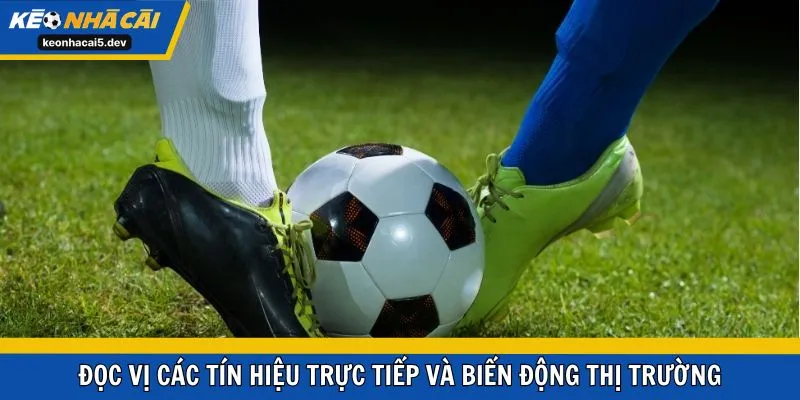 Đọc vị các tín hiệu trực tiếp và biến động thị trường