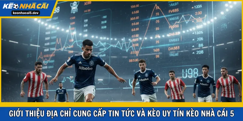 Giới thiệu địa chỉ cung cấp tin tức và kèo uy tín Kèo Nhà Cái 5