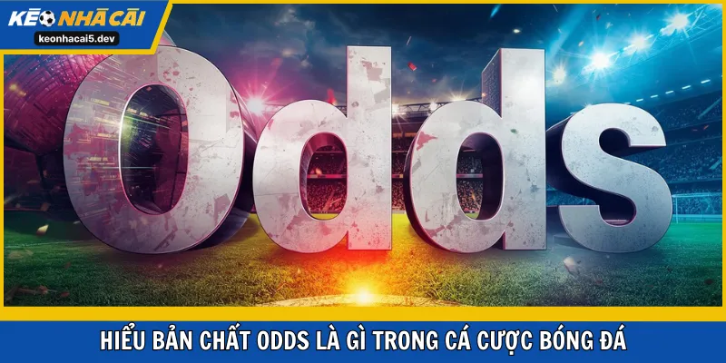 Hiểu bản chất odds là gì trong cá cược bóng đá