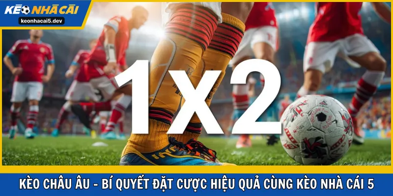Kèo Châu Âu - Bí Quyết Đặt Cược Hiệu Quả Cùng Kèo Nhà Cái 5