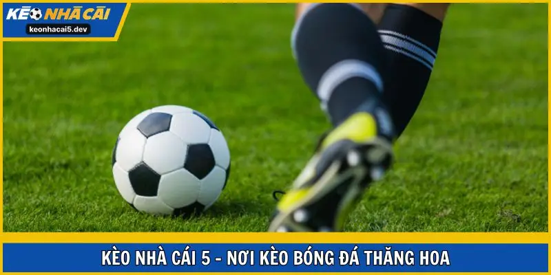 Kèo Nhà Cái 5 - nơi kèo bóng đá thăng hoa