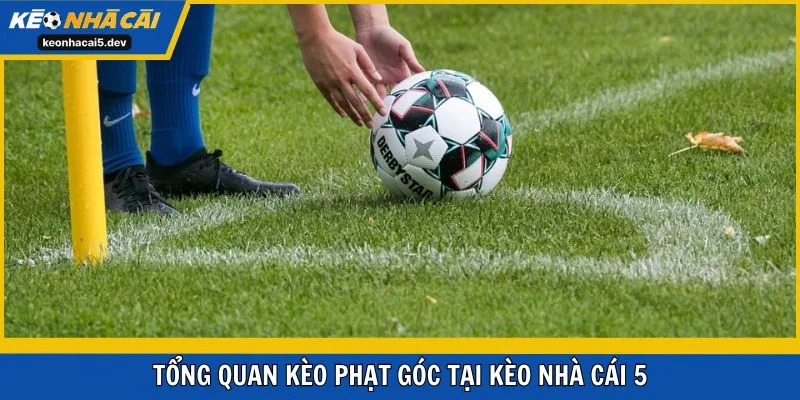Tổng quan kèo phạt góc tại Kèo Nhà Cái 5