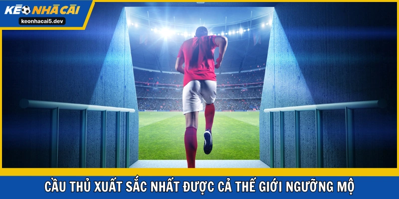 Top 5 cầu thủ xuất sắc nhất được cả thế giới ngưỡng mộ