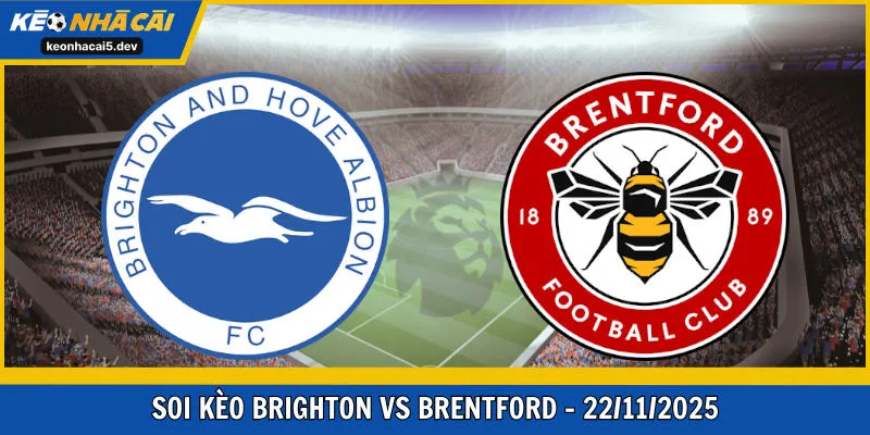 Brighton vs Brentford