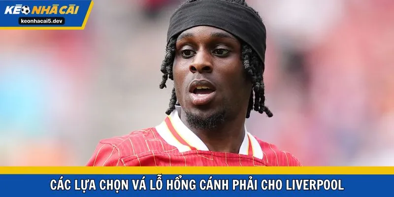 Các lựa chọn vá lỗ hổng cánh phải cho Liverpool