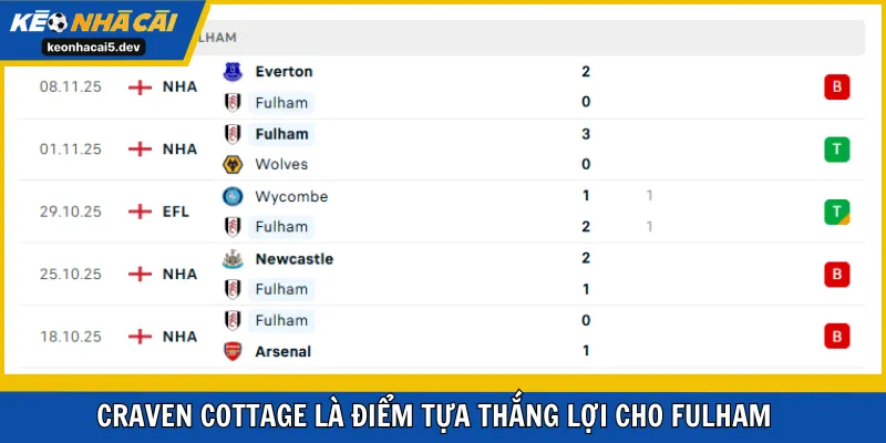 Craven Cottage là điểm tựa thắng lợi cho Fulham