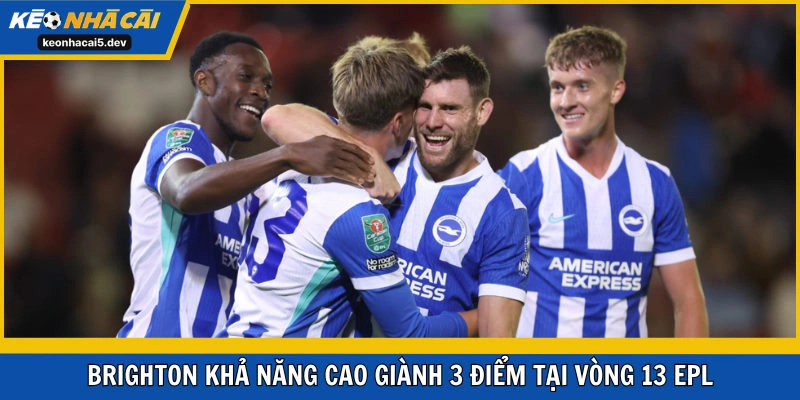 Khả năng cao Brighton sẽ có 3 điểm tại vòng 13 EPL