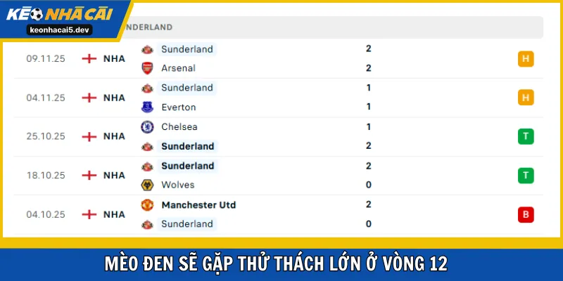 Mèo Đen sẽ gặp thử thách lớn ở vòng 12