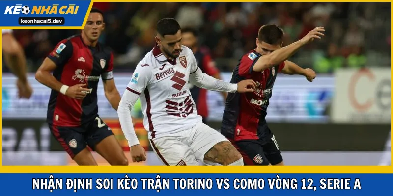 Nhận định soi kèo trận Torino vs Como vòng 12, Serie A