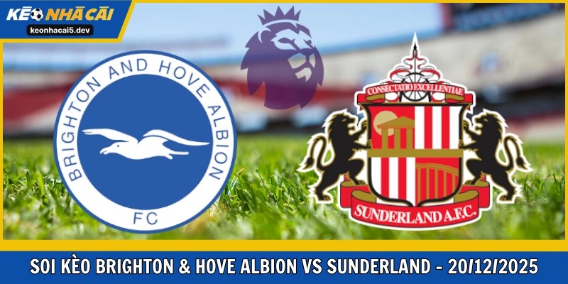 Brighton & Hove Albion vs Sunderland