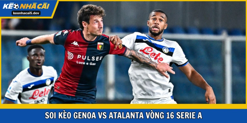 Genoa vs Atalanta trận đấu dễ đoán vòng 16 Serie A