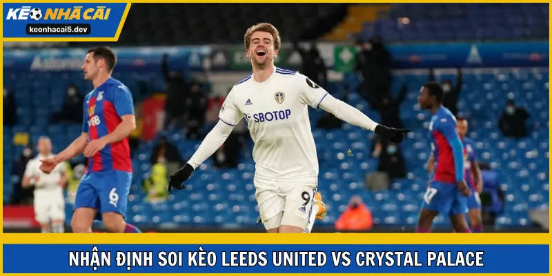 Soi kèo Leeds United vs Crystal Palace vòng 17 EPL