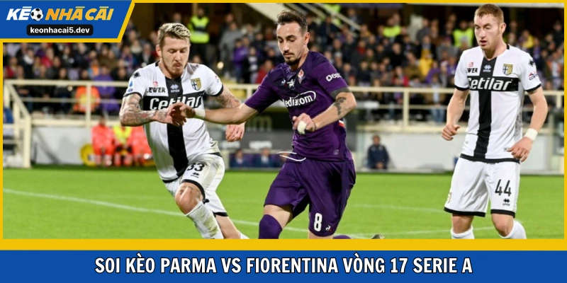 Parma vs Fiorentina trận đấu căng thẳng vòng 17 Serie A