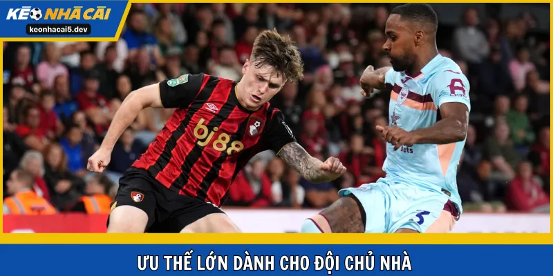 Ưu thế đang nghiêng về Bầy Ong vòng 18