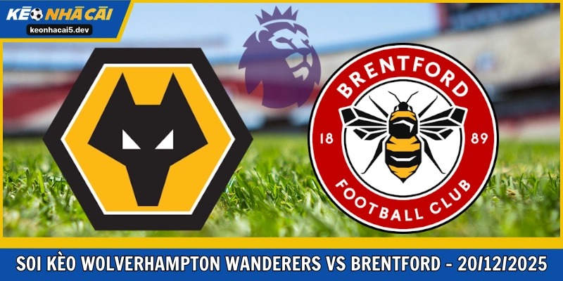 Wolverhampton Wanderers vs Brentford